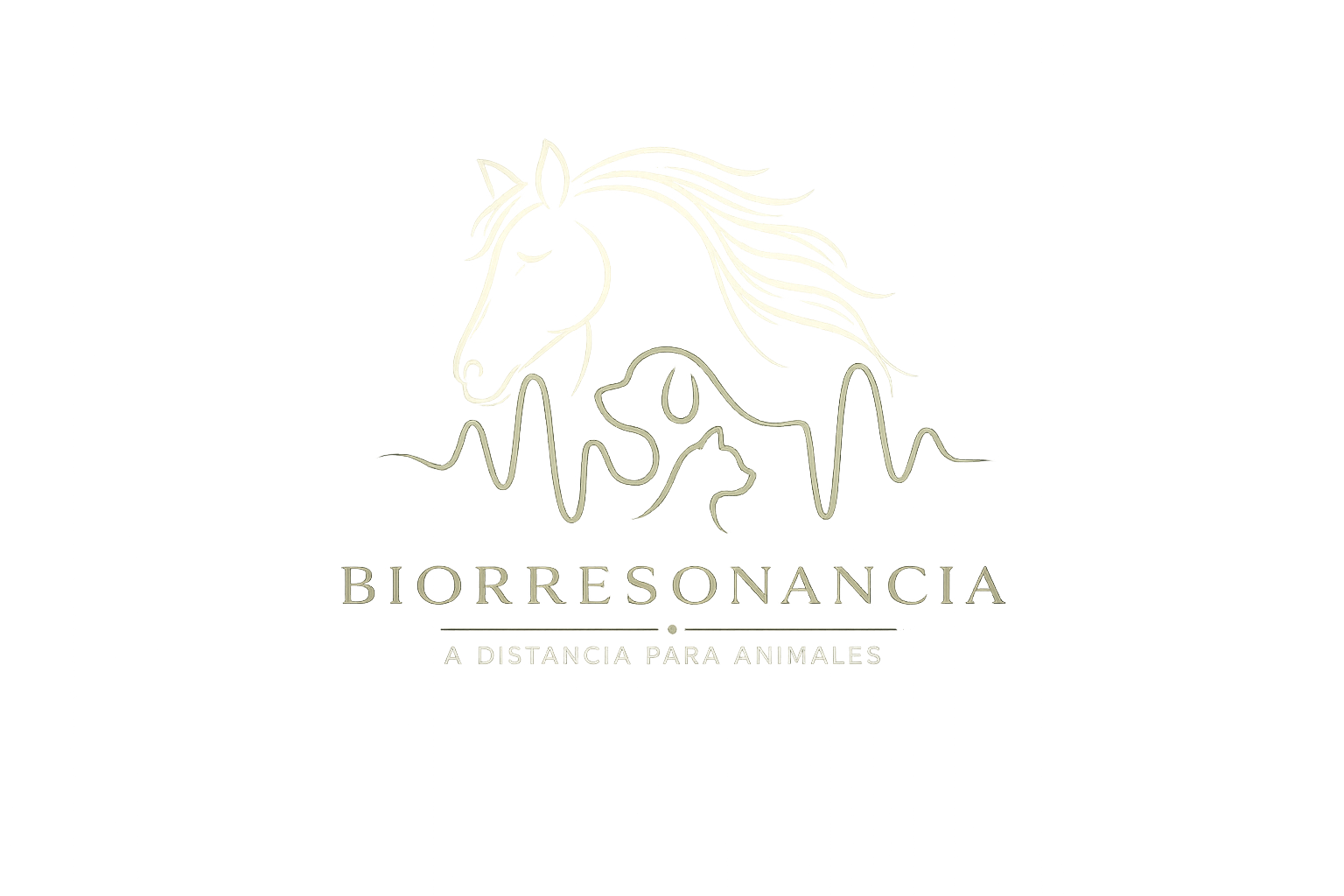 logo biorresonacia a distancia