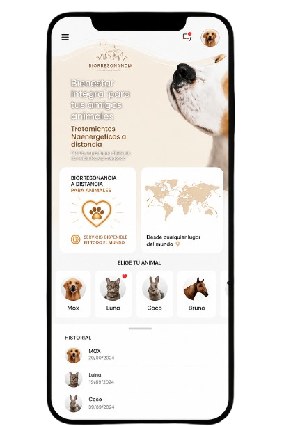 chatgpt image 17 jun 2026 17 33 41 removebg preview